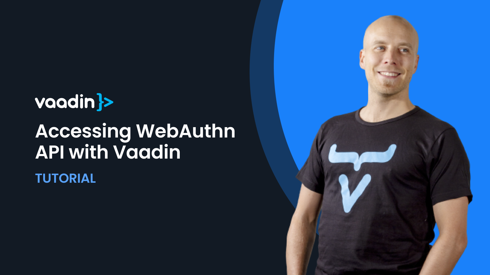Accessing WebAuthn API with Vaadin