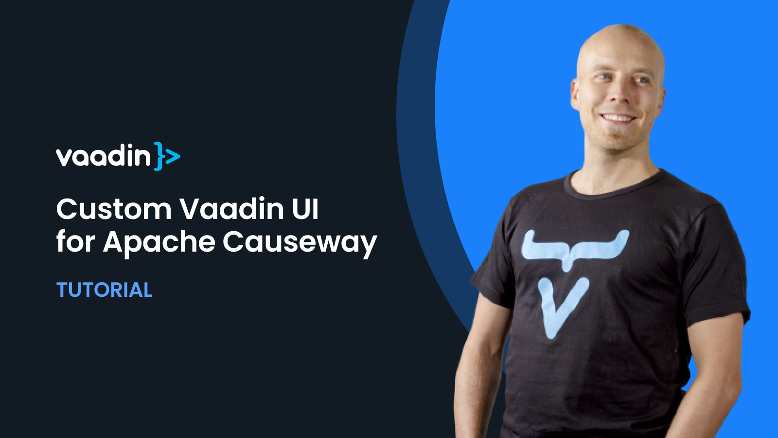 How to create a custom Vaadin UI for an Apache Causeway application