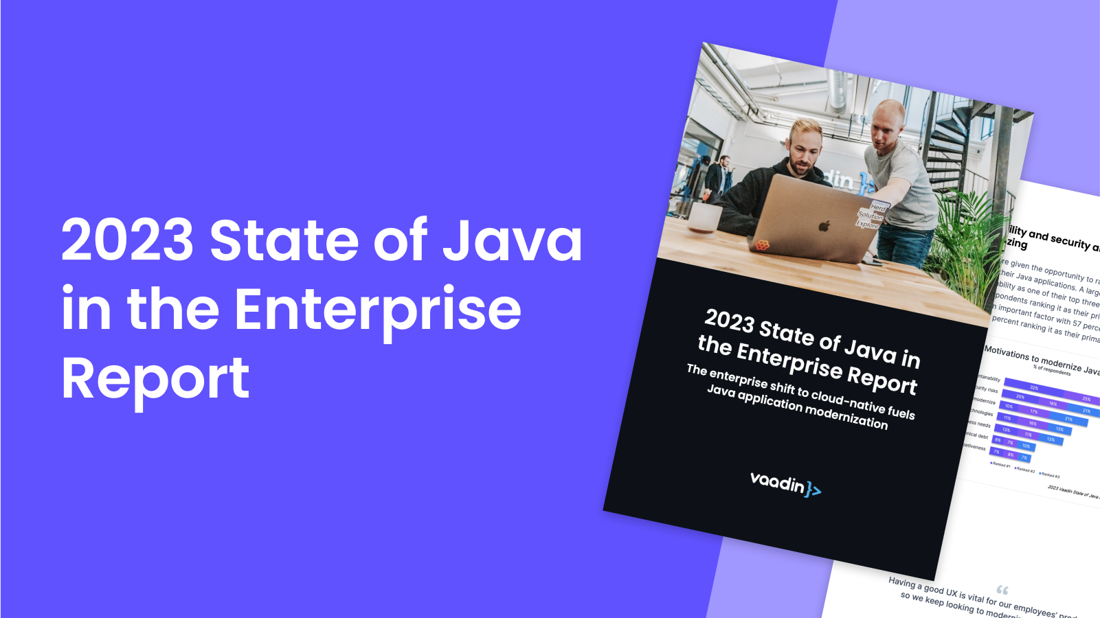 2023 State of Java in the Enterprise report