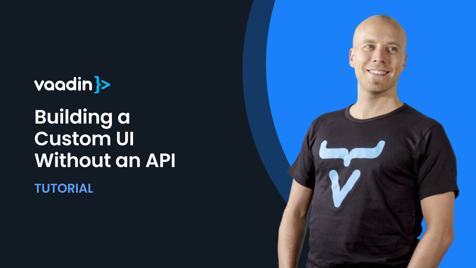 learn how to build a custom UI without an API using Vaadin