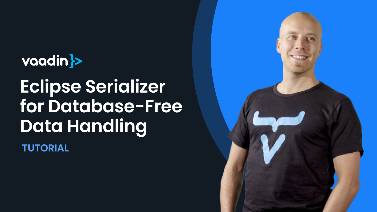 Explore a database-free approach with Eclipse Serializer for efficient data handling in this blog.