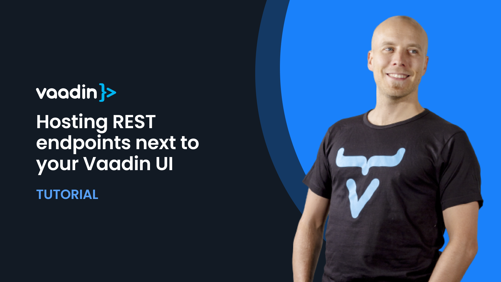 Learn how to host REST endpoints next to your Vaadin UI in this Vaadin tutorial.