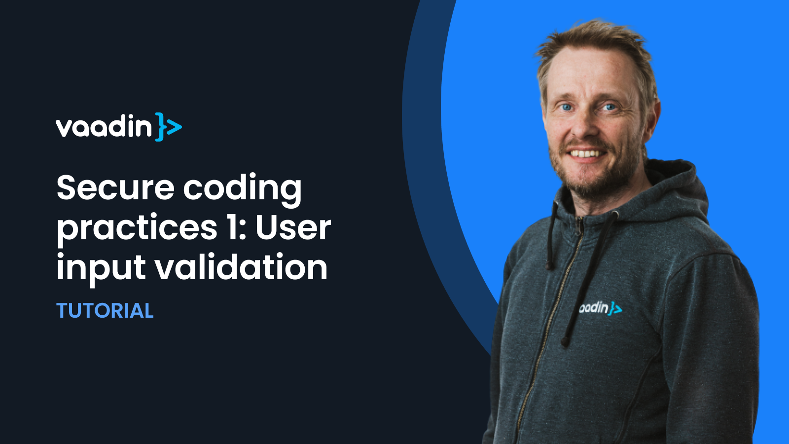 Secure Coding Practices 1: User input validation