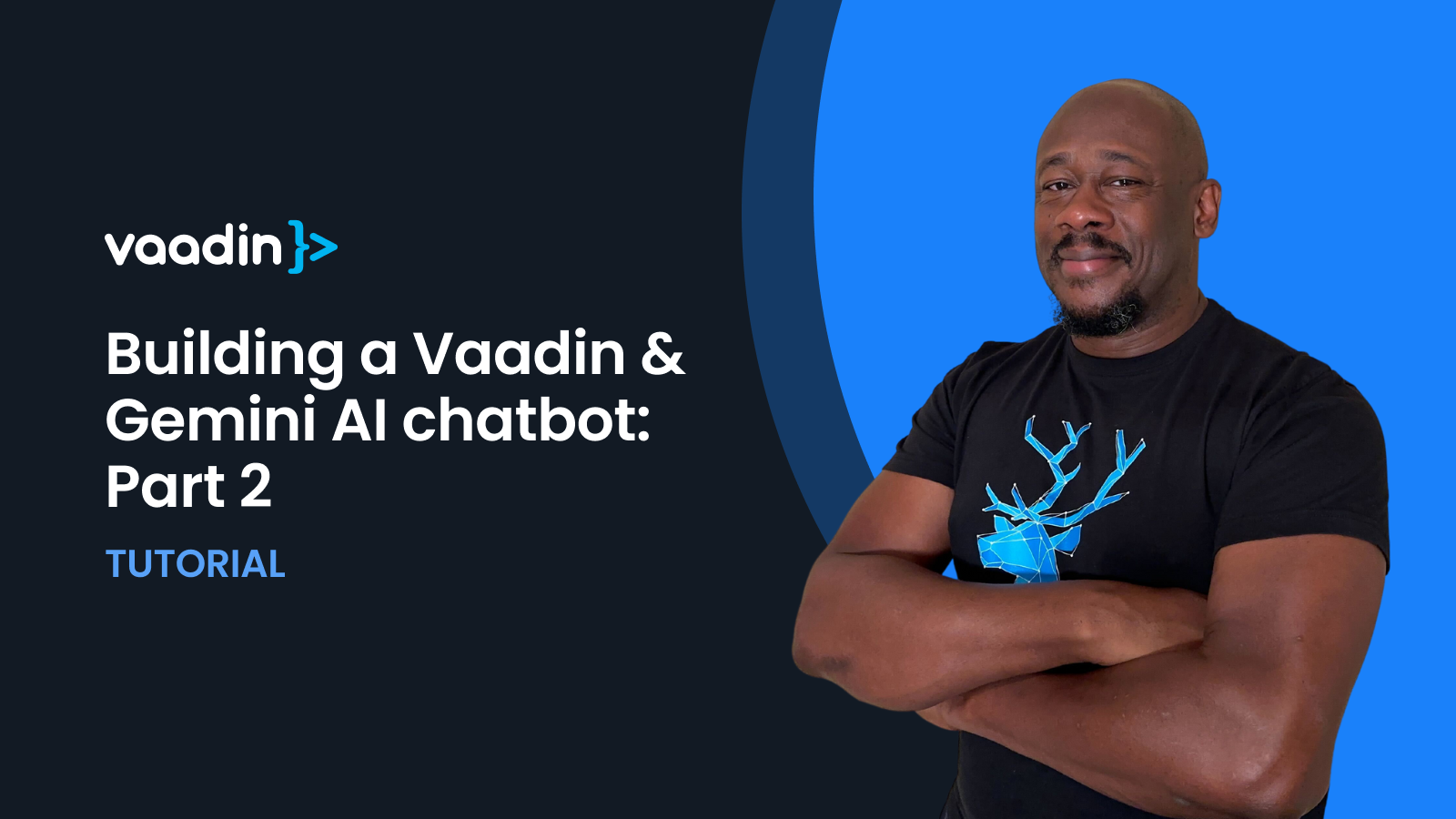 Learn how to build a Vaadin & Gemini AI chatbot.