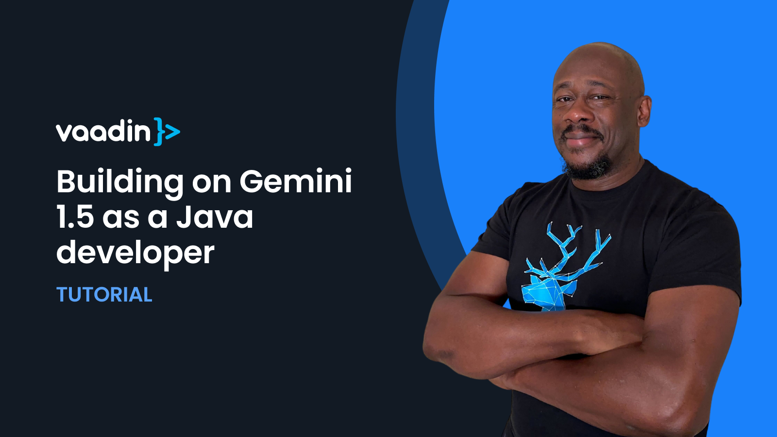 Banner image with text: Building on Gemini 1.5 as a Java developer