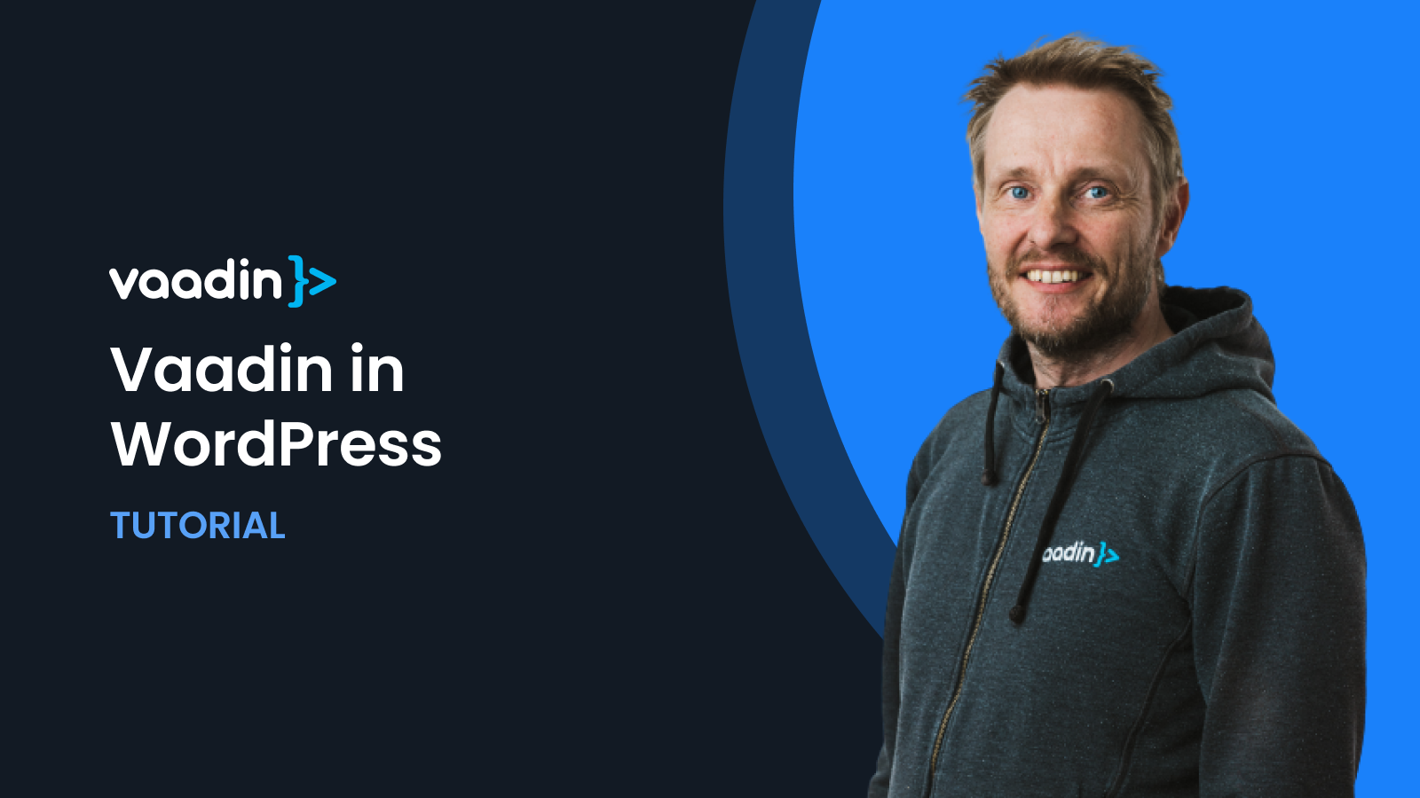 How to run your Vaadin application in WordPress