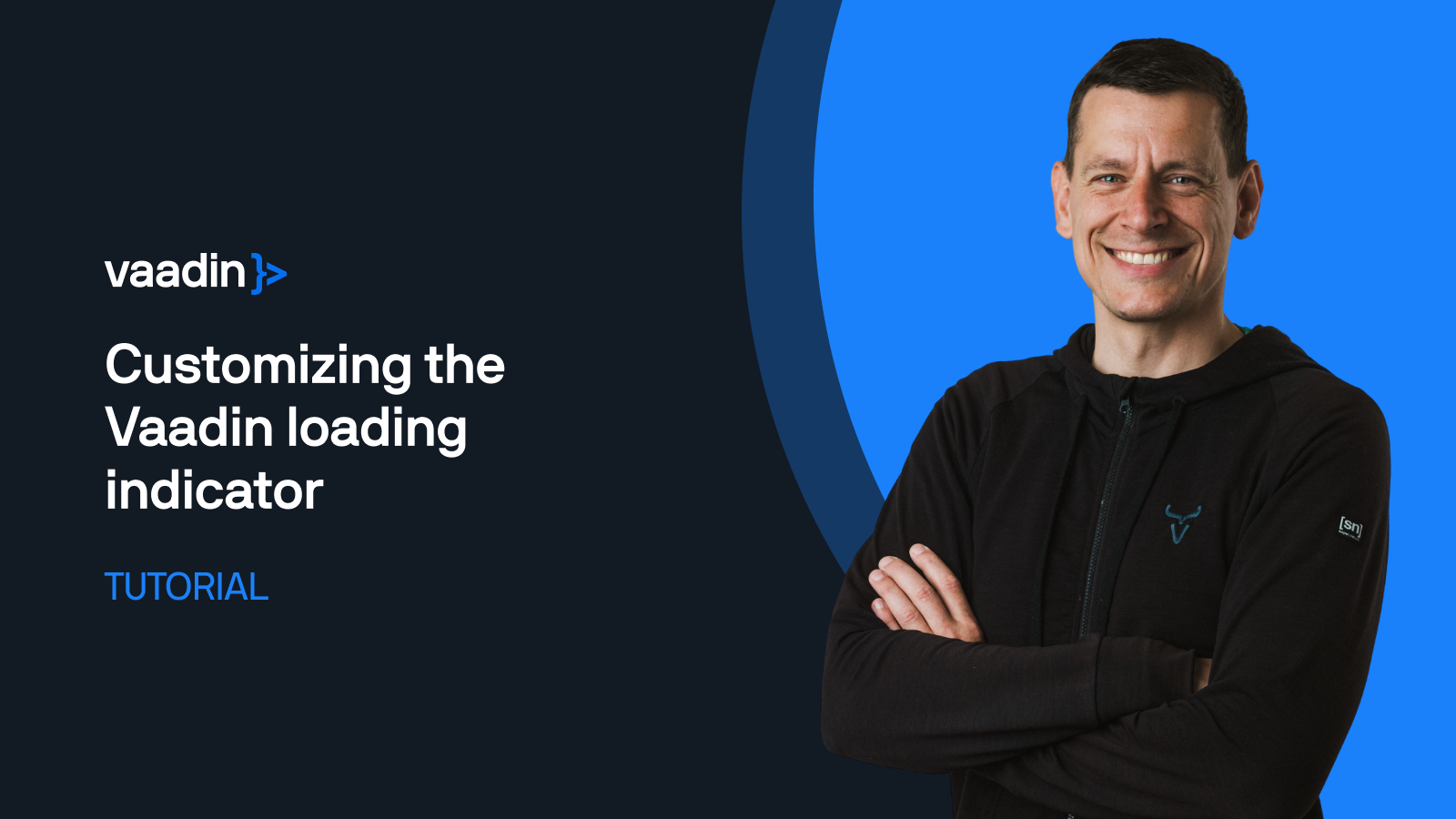 learn how to customize the vaadin loading indicator