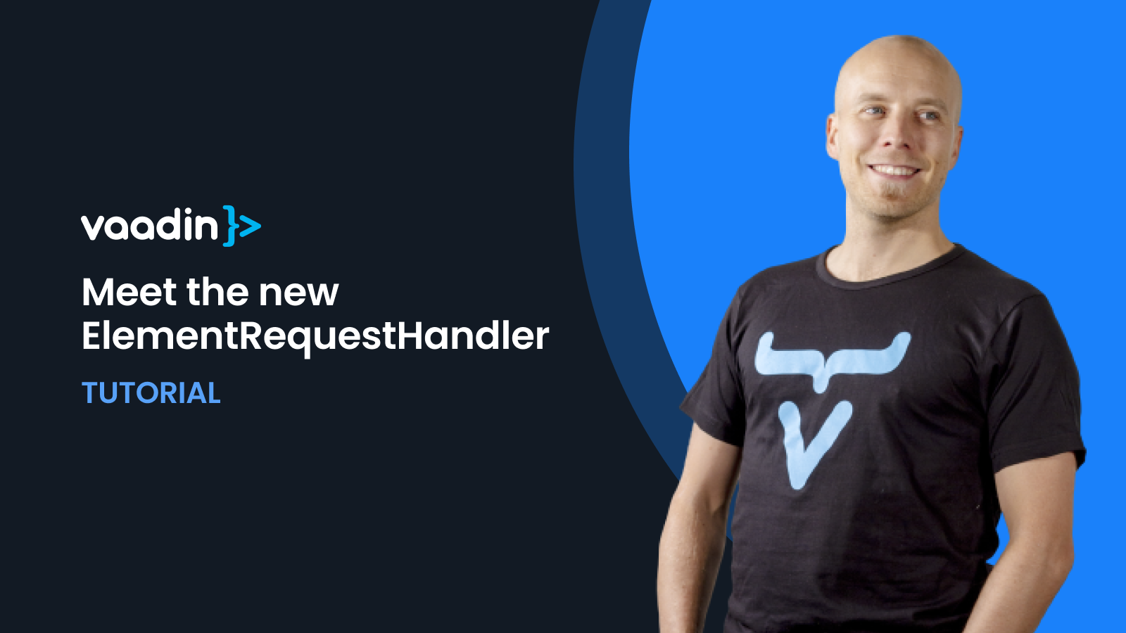 Meet the new ElementRequestHandler in Vaadin 24.8