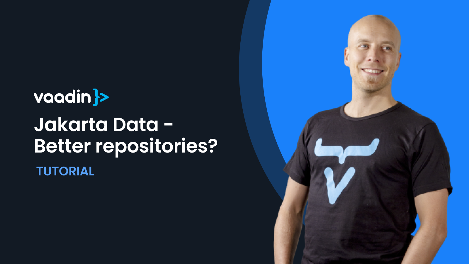 jakarta data and vaadin