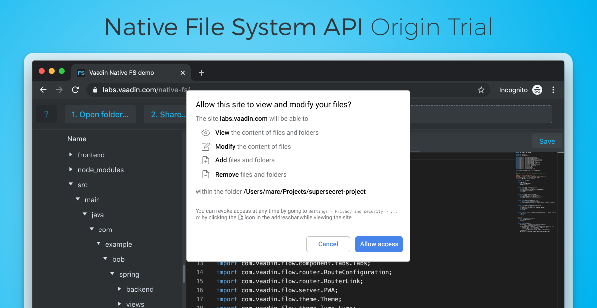 A browser editor showing a mockup permission popup that is asking for permissions to view, add, and remove folders as well as modify files.