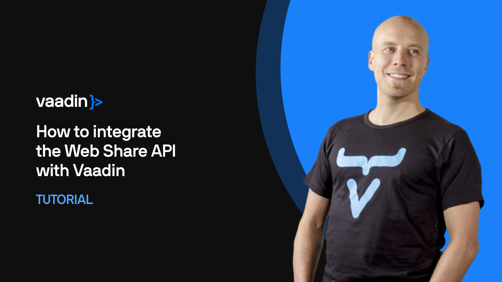 how to integrate the Web Share API with Vaadin